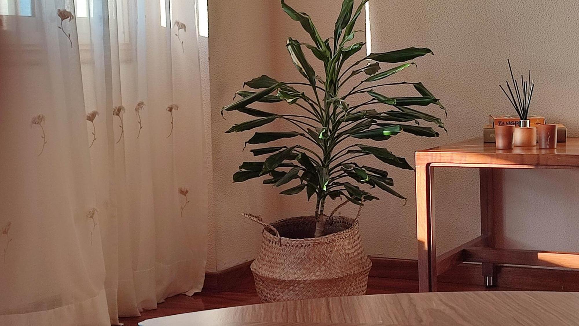 Апартаменти Duplex Acogedor Camino Ingles A 10 Min De Santiago Сіґуейро Екстер'єр фото